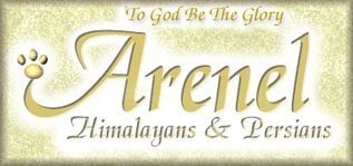 Arenel