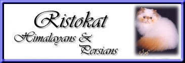 Ristokat